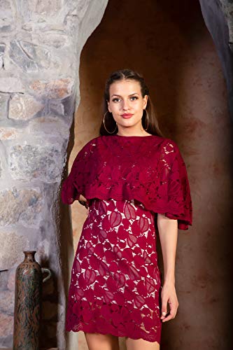 ORZEL Women's Fashionable Mini Dress for Every Occasion (Wine)