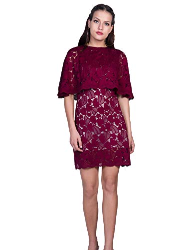 ORZEL Women's Fashionable Mini Dress for Every Occasion (Wine)