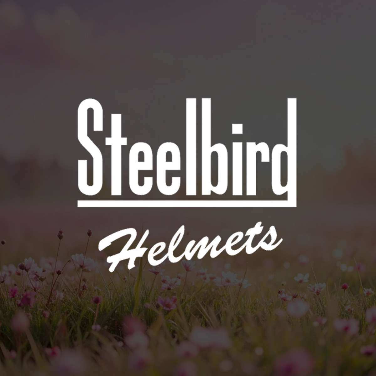 Steelbird SBH-80 Fairy FR1 ISI Certified Open Face Graphic Helmet for Women (Glossy Black Pink Rose with Smoke Visor)