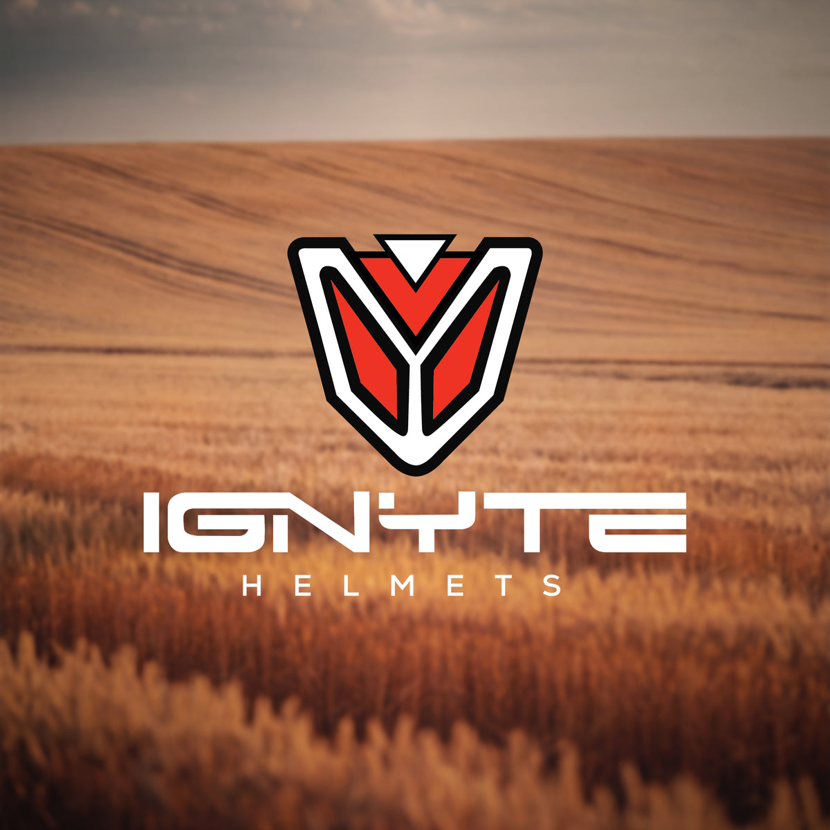 IGNYTE IGN-58 Spectrum ISI and DOT Certified Open Face Graphic Helmet for Men and Women (Glossy Red White Blue)